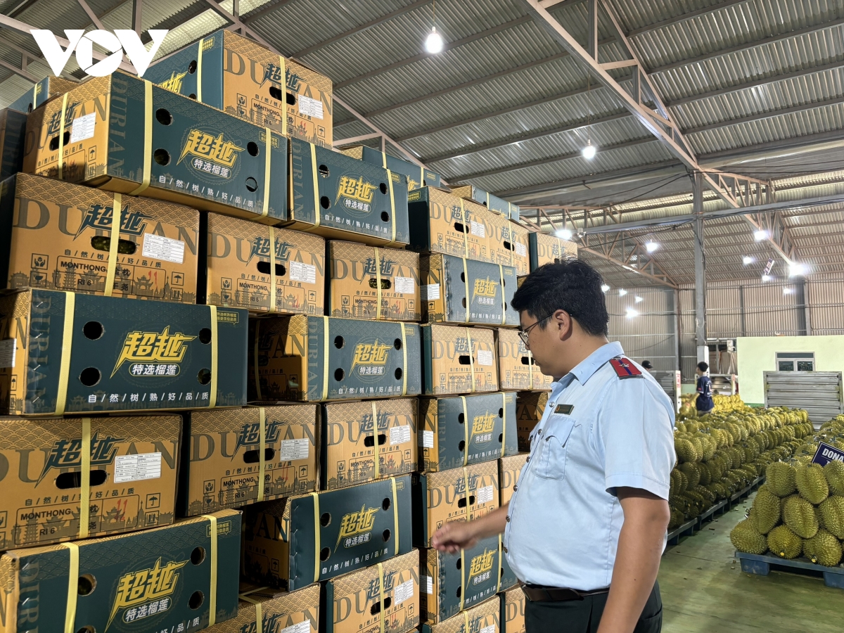 Lệnh truy nã đặc biệt và hồi chuông cảnh tỉnh về quản trị ngành hàng sầu riêng